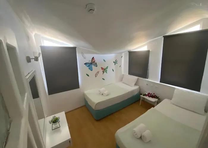 Memory Apart * シダ